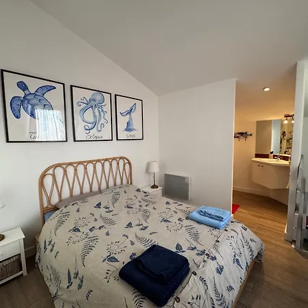 Apartment Le Solarium Au Bord Des Flots Sète