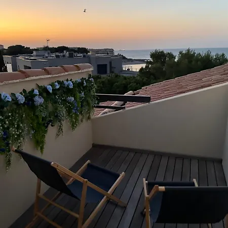 Le Solarium Au Bord Des Flots Sete
