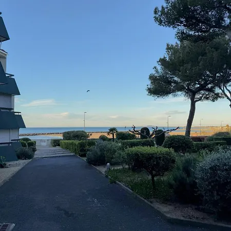 Le Solarium Au Bord Des Flots Sète